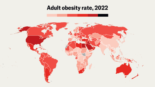 The obesity capitals of the world