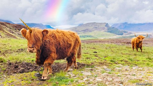 Scotland has been on a ten-year holiday from reality