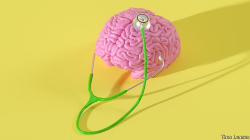How to keep the brain healthy