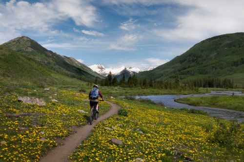 Best Destinations for Cycling in the Southern United States - Ecophiles