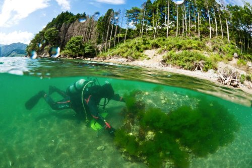 Best Diving in Japan: Into the Deep with Tips from a Local Diver
