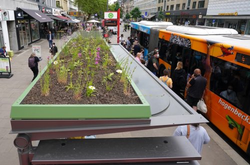 Pollinator Gardens on Bus Stop Roofs Grow Across Europe