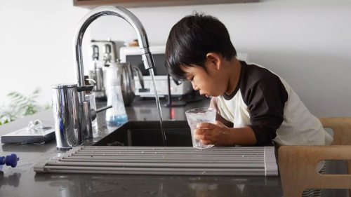 NRDC Map Shows Populations With Lead Contamination in Tap Water