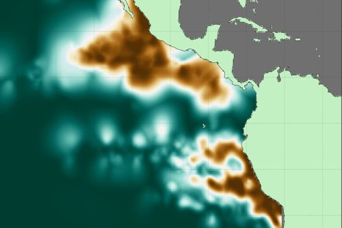 Ocean’s Largest Dead Zones Mapped by MIT Scientists - EcoWatch