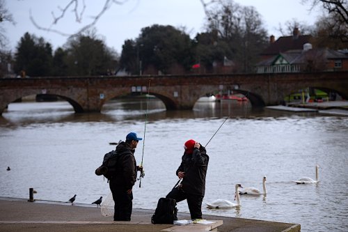 River Testing by Anglers in England and Wales Reveals Phosphate ‘Crisis’