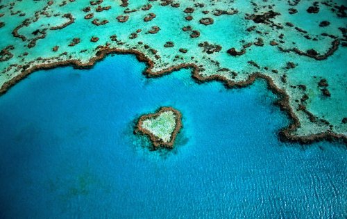 In National First, Australia Uses Environmental Law to Reject New Coal Mine to Protect Great Barrier Reef