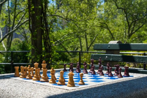 Check Mate: Air Pollution Can Harm the Thinking of Even the Best Chess Players