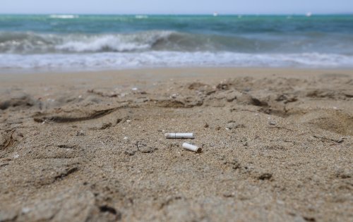 Plastic Pollution From Cigarettes Likely Costs $26 Billion Annually, Study Finds