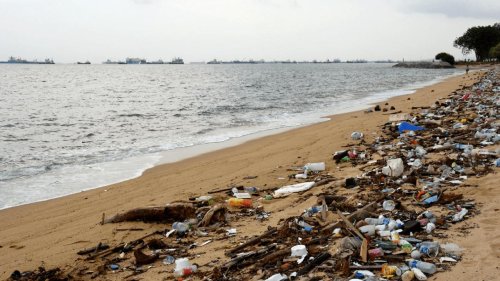 5 Things to Know About Plastic Pollution and How to Stop It