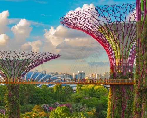 What Are Solar Trees, and Could They Replace Solar Panels? - EcoWatch