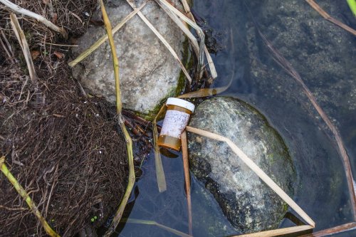 Nearly a Third of Antibiotics Used by Humans End Up in River Systems Globally Each Year: Study