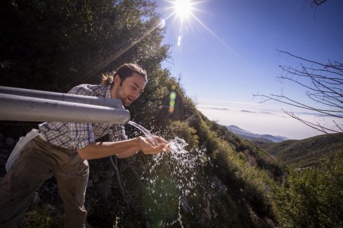 California Orders Bottled Water Company to Stop Drawing From Natural Springs Needed for Wildlife Habitat and Wildfire Protection