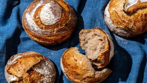 Sourdough Yeast: Fungi of Life and Yummy Bread
