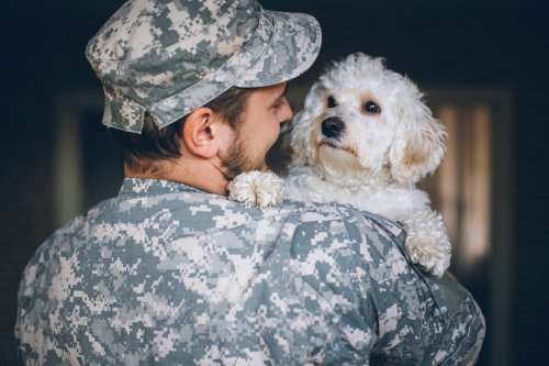 dogs-cry-tears-of-joy-when-reunited-with-their-humans-study-finds