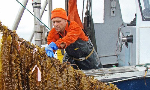 How an Army of Ocean Farmers Is Starting an Economic Revolution