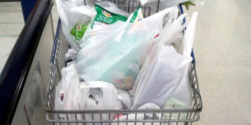 Michigan Bans Local Plastic Bag Bans