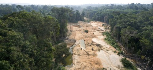 Major Tech and Car Companies May Be Using ‘Blood Gold’ Mined Illegally From the Amazon Rainforest