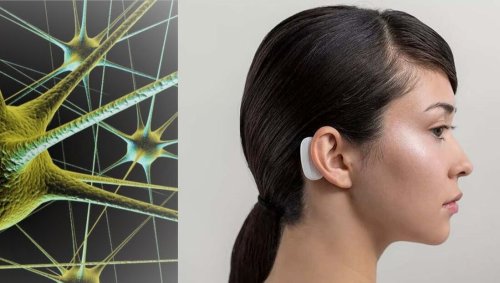 Elon Musk's Neuralink Aims to Upgrade Humans by Using Brain-Computer Interfaces and to Ultimately Merge Us with AI