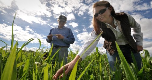 How USDA can leverage a carbon bank for farmers, foresters and the climate | Growing Returns