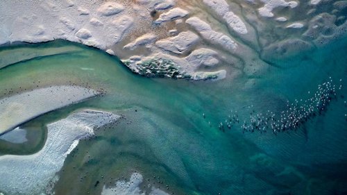 Photographer's breathtaking image of Norfolk coast scoops top prize