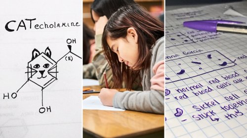 How—and Why—to Introduce Visual Note-Taking to Your Students