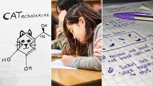 How—and Why—to Introduce Visual Note-Taking to Your Students