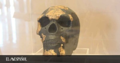 El hallazgo que reescribe la historia del hombre: el Homo Sapiens es más antiguo de lo esperado