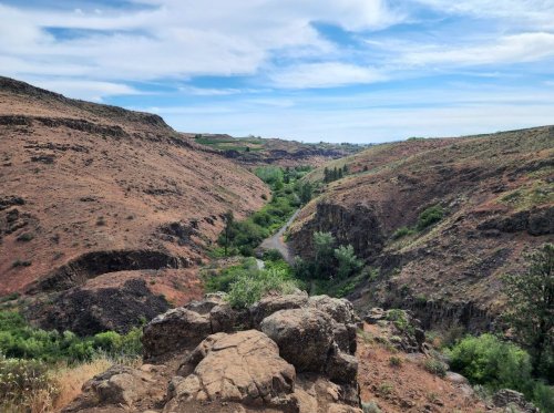 This Peaceful Canyon Hike In Washington Takes You Straight To A Winery
