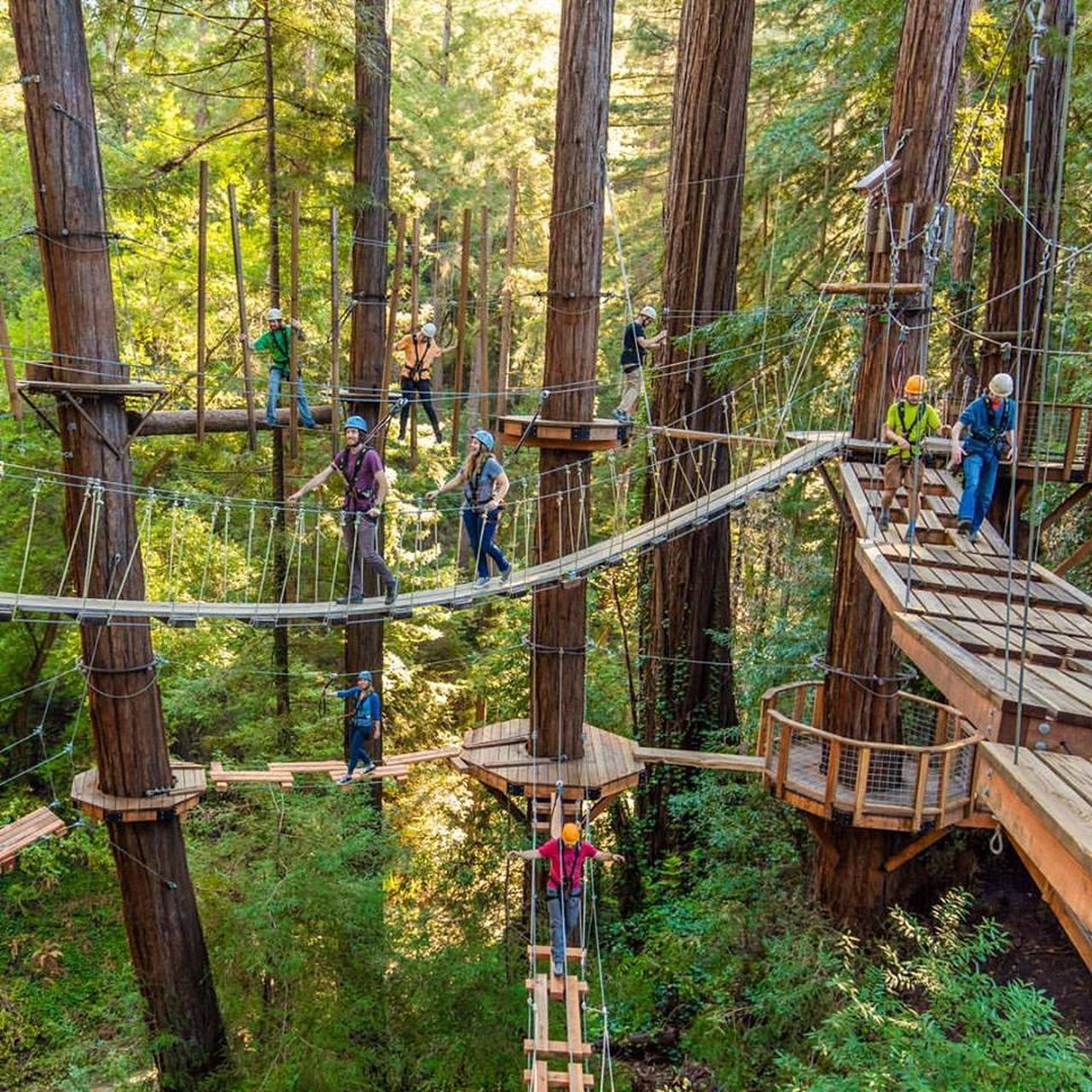 Hike Through The Trees At These 11 Incredible Canopy Walks Across America - cover