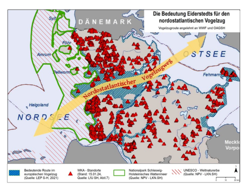 Windkraft in Eiderstedt: Umweltverbände schlagen Alarm