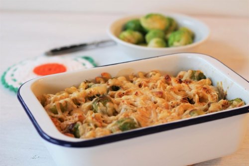 Nudeln / Pasta Rezepte cover image