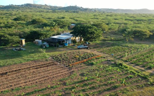Gestan primer proyecto de fincas comunitarias disponibles para agricultores sin terrenos