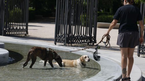La Comunidad de Madrid arranca la semana con 41 grados y aviso naranja por calor | Flipboard