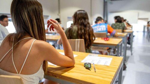 El grado universitario que menos gente hace: ofrece trabajo fijo y sueldos de 48.000 euros al año