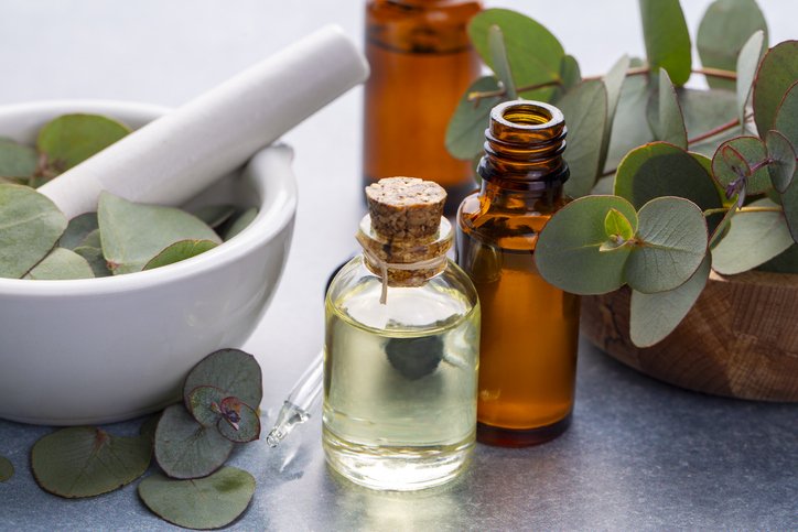 Winter Wellness: Essential Oils for Health and Healing - cover