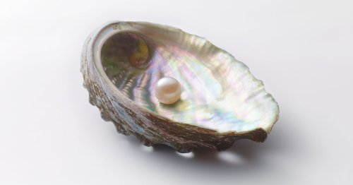 Oyster Nails: Zart schimmernder Nagellack-Trend im Herbst 2023