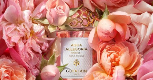 Frühlingsdüfte: Die 8 schönsten Parfums für die kommende Saison
