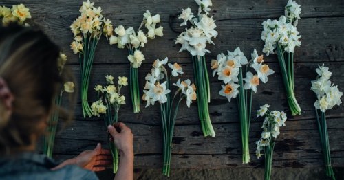 Blumen-Trend 2022: So bauen Sie nachhaltige Slowflowers auf dem eigenen Balkon an