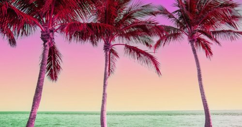 Urlaub steht vor der Tür? Das sind unsere 7 Top-Tipps für eine Reise nach Miami