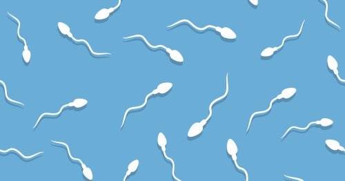 Unerfüllter Kinderwunsch: Auch Männer sollten ihre Fruchtbarkeit im Blick haben