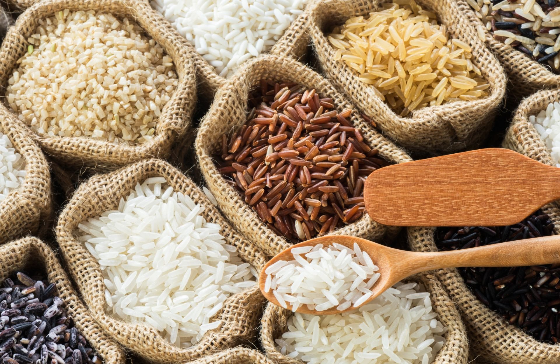 Thaï, basmati, bio, rouge, complet : quel est le meilleur riz pour la santé ?