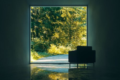 6 astuces pour éviter que les arbres verdoyants n’assombrissent notre intérieur