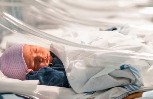Au Pays-Bas, un donneur de sperme est poursuivi pour avoir engendré 550 naissances