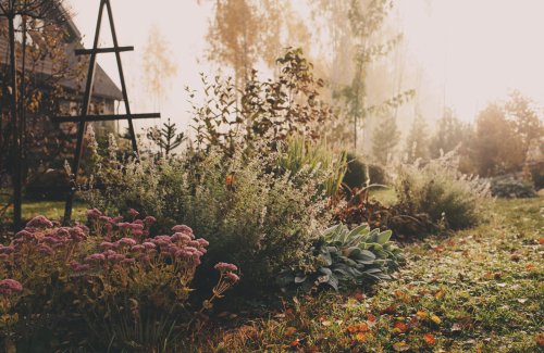 Hiver, 6 gestes pour protéger son jardin du froid