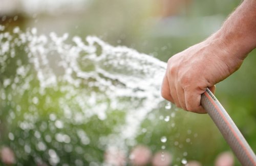 Sécheresse : le gouvernement partage six gestes permettant de réduire sa consommation d’eau