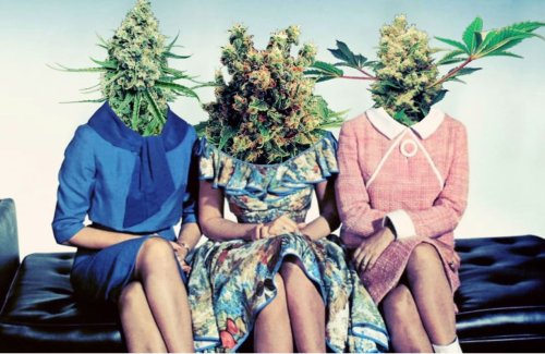 Boutiques de luxe, packaging épurés : comment le cannabis est devenu un business chic à New York