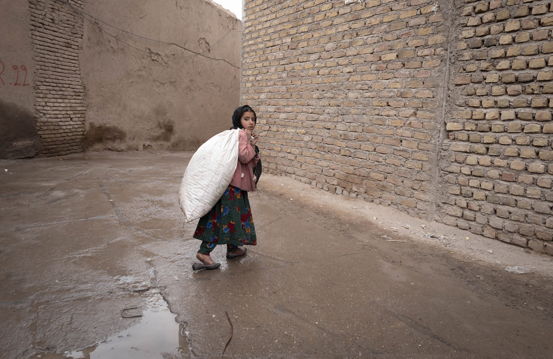 « Nous assistons à une baisse d’inscriptions à l’école » : en Afghanistan, de plus en plus d’enfants contraints au travail