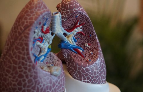 Cancer du poumon : les premiers symptômes qui doivent vous alerter