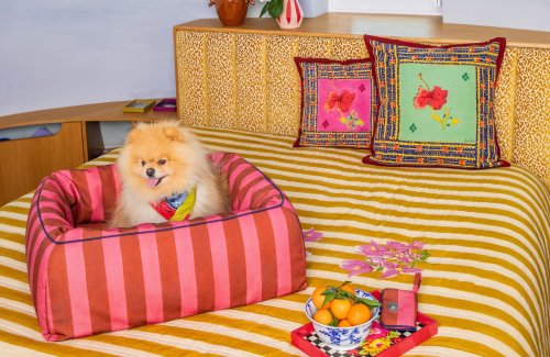 Les 10 conseils déco d'Ida Carti pour un intérieur haut en couleurs