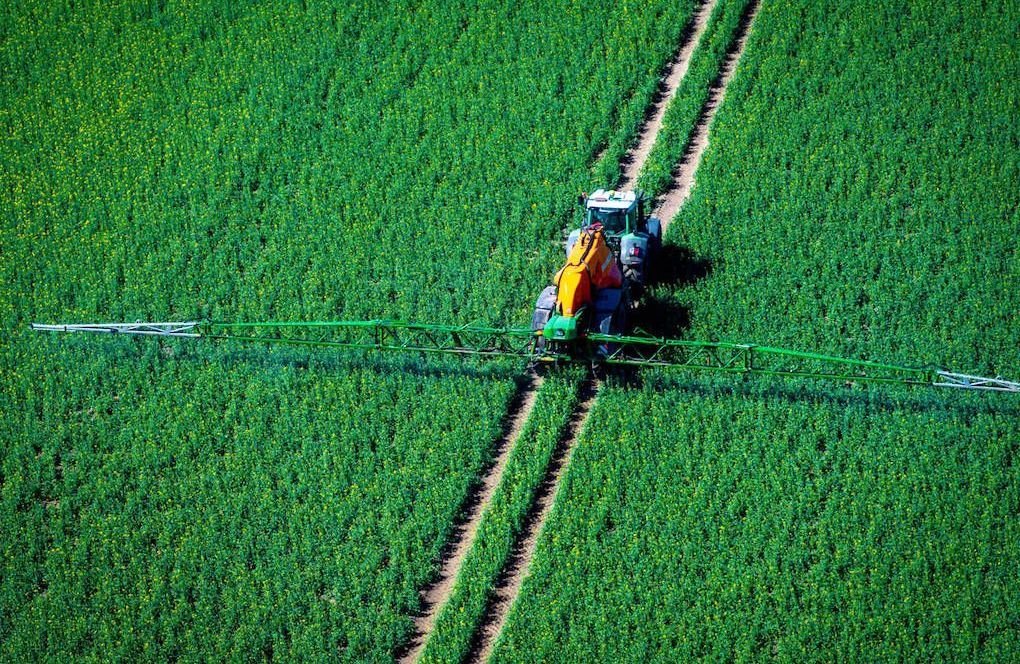 Pesticides : quels sont les risques pour les enfants, signalés par l’Anses ?